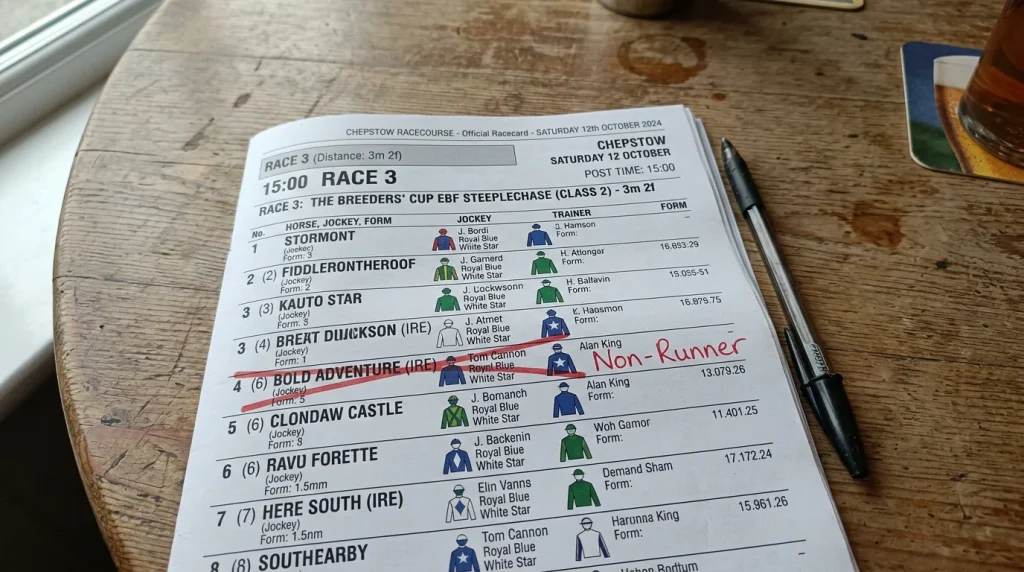 Racecard with a horse name crossed out and the text Non-Runner marked beside it in red
